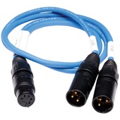 Video Devices XL-5 5-Pin XLR Female to Dual 3-Pin XLR Male Output Cable for PIX 220/240 (24")