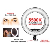 Mettle RL50 50W Fluorescent Ringlight - 5500K