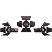 Aputure LS-mini20 3-Light Flight Kit