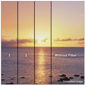 LEE Filters 100 x 150mm Coral Graduated Hard-Edge Filter Set (2, 4 & 6)