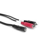 Hosa CFR-210 RCA to Mini Breakout Cable 10ft