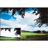 Cokin Z121L Z-Pro Series Hard-Edge Graduated Neutral Density 0.3 Filter (1-Stop)