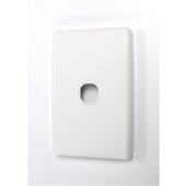 AMDEX Single Port Face Plate