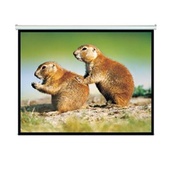 BRATECK 150" Projector Screen