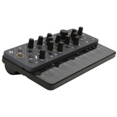 Modal Electronics SKULPT Virtual Analog Synthesizer (Black)