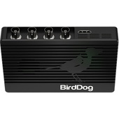 BirdDog 4K Quad NDI Encoder/Decoder