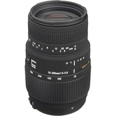 Sigma 70-300mm f/4-5.6 DG Macro Lens for Nikon F