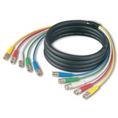 Canare 5-Channel BNC Multi-Coaxial Cable (26.24' / 8 m)