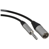 Canare Starquad XLRM-TRSM Cable (Black, 100')
