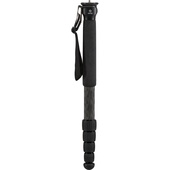 Really Right Stuff MC-25 Series 2 Carbon Fiber Monopod (1/4"-20)