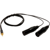 Microphone Madness Dual XLR Male to 3.5mm Stereo Male Adapter Cable (4')