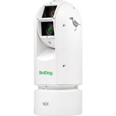 BirdDog Eyes A300 IP67 (White)