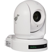 BirdDog Eyes P200 1080p Full NDI PTZ Camera (White)