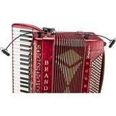DPA d:vote Stereo Gooseneck Microphone Kit for Accordion