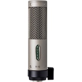 Royer Labs R-10 Large-Element Ribbon Microphone (Single)