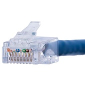 DYNAMIX CAT6 UTP Pass-Through Plug (100 Pack)