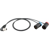 Cable Techniques Low-Profile Y-Cable for Lectrosonics SRc5P/SRb5P Receivers (60.9cm)