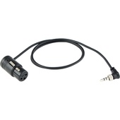 Cable Techniques Mini TRS to XLR Female Low-Profile Sennheiser Line Input Cable (45.7cm)