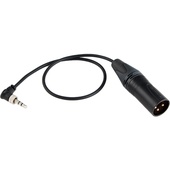 Cable Techniques Mini TRS to XLR Male Sennheiser G4/G3 Output Cable (45.7cm)