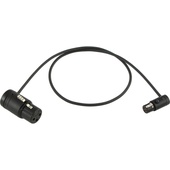 Cable Techniques CT-LPS-FX3T-18K Low-Profile LPXLR-3F to TA3F Cable (45.7cm, Black)
