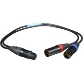 Cable Techniques CT-PYF-18 Microphone Y-Cable (45.72 cm)