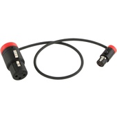 Cable Techniques CT-LPS-FX3T-12R Low-Profile LPXLR-3F to TA3F Cable (30.4cm, Red)