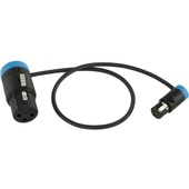 Cable Techniques CT-LPS-FX3T-12B Low-Profile LPXLR-3F to TA3F Cable (30.4cm, Blue)