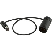 Cable Techniques CT-LPS-3TMX Low-Profile TA3F to LXPXLR-3M Cable (30.4cm, Black)