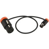 Cable Techniques CT-LPS-FX3T-12N Low-Profile LPXLR-3F to TA3F Cable (30.4cm, Orange)