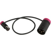 Cable Techniques CT-LPS-3TMX Low-Profile TA3F to LXPXLR-3M Cable (30.4cm, Purple)