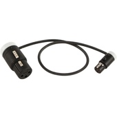 Cable Techniques CT-LPS-FX3T-12W Low-Profile LPXLR-3F to TA3F Cable (30.4cm, White)