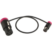 Cable Techniques CT-LPS-FX3T-12P Low-Profile LPXLR-3F to TA3F Cable (30.4cm, Purple)