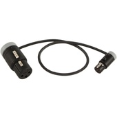 Cable Techniques CT-LPS-FX3T-12A Low-Profile LPXLR-3F to TA3F Cable (30.4cm, Gray)