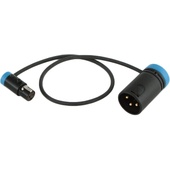Cable Techniques CT-LPS-3TMX Low-Profile TA3F to LXPXLR-3M Cable (30.4cm, Blue)