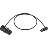 Cable Techniques CT-LPS-FX3T-24K Low-Profile LPXLR-3F to TA3F Cable (60.9cm, Black)