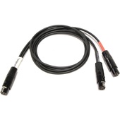 Cable Techniques CT-PT3LT2-24 - TA3F to 2x TA5F Connectors Cable (60.9cm)