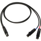 Cable Techniques CT-PSR5PT-224 TA5F to Dual TA3F Lectrosonics SR Receiver Output Cable (60.9cm)