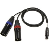 Cable Techniques TA3F to Two 3-Pin XLR Male Tape Output Y-Cable Adapter for Sound Devices (60.9cm)