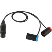 Cable Techniques Straight XLR 5-Pin Female to Low-Profile XLR 3-Pin Male Stereo Y Cable (45.7cm)