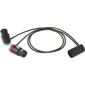 Cable Techniques Low-Profile Stereo Y Cable for Camera-Mounted Mics (45.7cm)