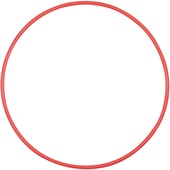 Olympus POL-EP13 O-Ring for PT-EP13
