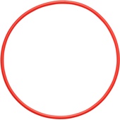 Olympus POL-058 O-Ring for PT-058