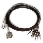 Avid DB25-TS +4 dBu/-10 dBV Padded DigiSnake - Output Snake (3.6m)