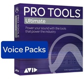 Avid Pro Tools Ultimate - 256 Voice Pack Perpetual License