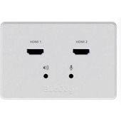 BirdDog Wallplate Dual Input