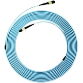 DYNAMIX MTP Trunk Fibre Cable - OM3, Multimode, Polarity C (30m)