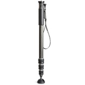 Gitzo GM2542 Series 2 Carbon Fibre Monopod