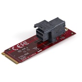 StarTech U.2 to M.2 Adapter for 2.5 U.2 NVMe SSD
