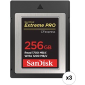 SanDisk 256GB Extreme PRO CFexpress Card Type B (3-Pack)