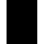 Backdrop Alley BAM12BK Solid Muslin Background (3 x 3.7 m / 10 x 12', Black)